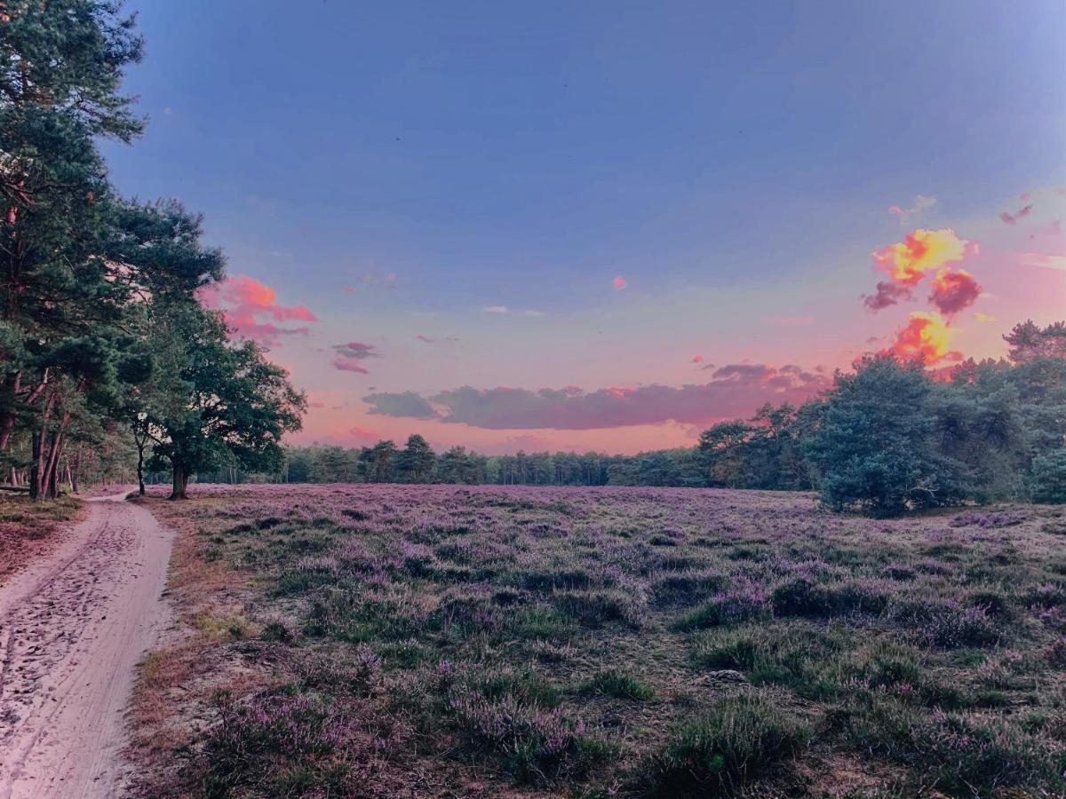 Rode Bosuil: Thuiskomen Op De Veluwe! Otterlo Ngoại thất bức ảnh