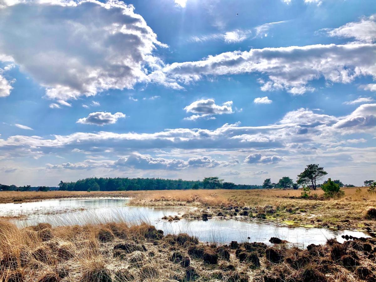 Rode Bosuil: Thuiskomen Op De Veluwe! Otterlo Ngoại thất bức ảnh