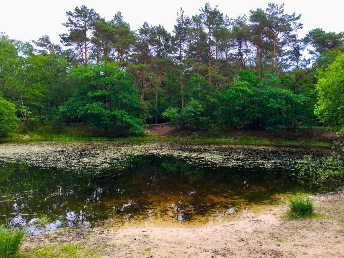 Rode Bosuil: Thuiskomen Op De Veluwe! Otterlo Ngoại thất bức ảnh