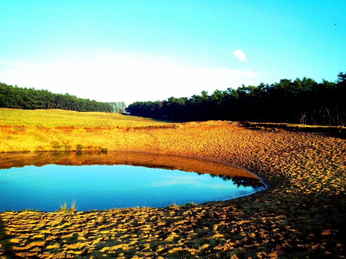 Rode Bosuil: Thuiskomen Op De Veluwe! Otterlo Ngoại thất bức ảnh